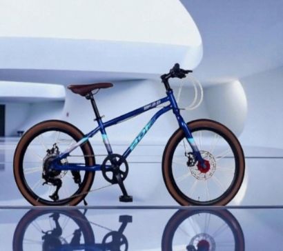 صورة دراجة هجين مقاس 22